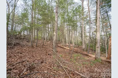 9999 Cedar Hill Drive #12, Asheville, NC 28803 - Photo 16