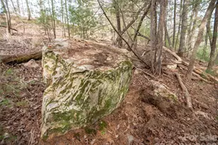 9999 Cedar Hill Dr, Asheville, NC 28803 - Photo 10