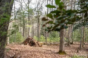 9999 Cedar Hill Dr, Asheville, NC 28803 - Photo 12