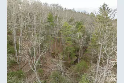 9999 Cedar Hill Drive #12, Asheville, NC 28803 - Photo 32