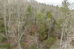 9999 Cedar Hill Dr, Asheville, NC 28803 - Photo 32