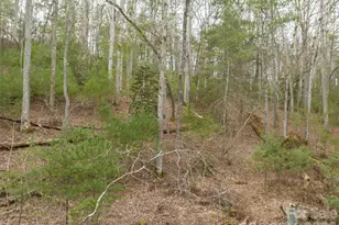 9999 Cedar Hill Dr, Asheville, NC 28803 - Photo 30