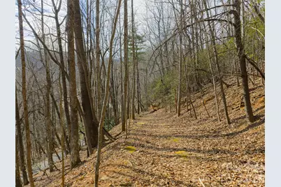 40 Cedar Drive, Mills River, NC 28759 - Photo 12