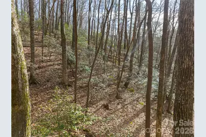 40 Cedar Drive, Mills River, NC 28759 - Photo 14