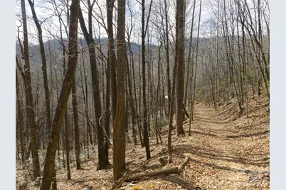 40 Cedar Drive, Mills River, NC 28759 - Photo 16