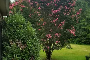 1855 Eastbrook Cir, Morganton, NC 28655 - Photo 32