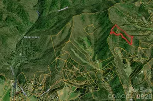 0 Betts Branch Rd, Bryson City, NC 28713 - Photo 12