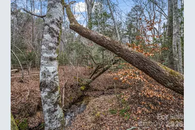 0 River Road, Rutherfordton, NC 28139 - Photo 20
