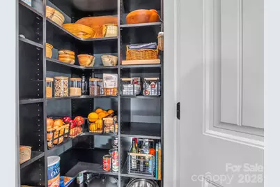 614 Downing Way, Landrum, SC 29356 - Photo 16