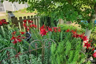 614 Downing Wy, Landrum, SC 29356 - Photo 38