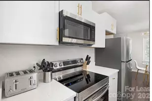 3909 Woodbriar Trail, Charlotte, NC 28205 - Photo 8