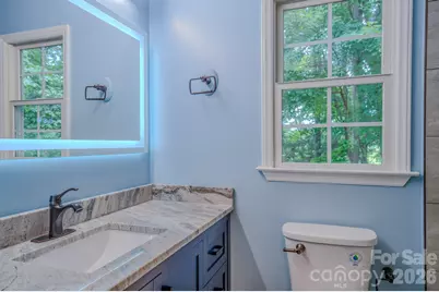 303 Theron Court, Candler, NC 28715 - Photo 30