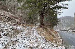 0000 Nc Hwy 197 Hwy, Green Mountain, NC 28740 - Photo 2