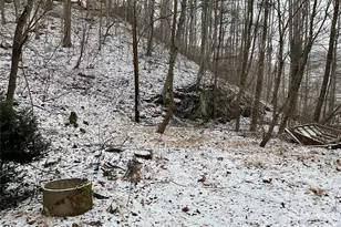 0000 Nc Hwy 197 Hwy, Green Mountain, NC 28740 - Photo 8