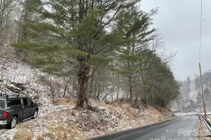 0000 Nc Hwy 197 Hwy, Green Mountain, NC 28740 - Photo 20