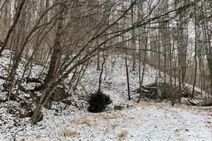 0000 Nc Hwy 197 Hwy, Green Mountain, NC 28740 - Photo 4