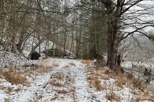 0000 Nc Hwy 197 Hwy, Green Mountain, NC 28740 - Photo 16