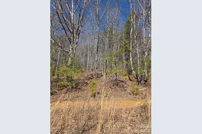 4899 Teague Town Road, Taylorsville, NC 28681 - Photo 4