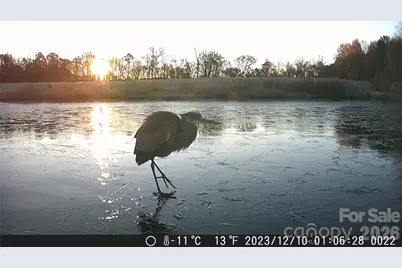 1440 Carl Taylor Road, Peachland, NC 28133 - Photo 20