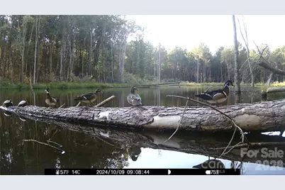 1440 Carl Taylor Road, Peachland, NC 28133 - Photo 18