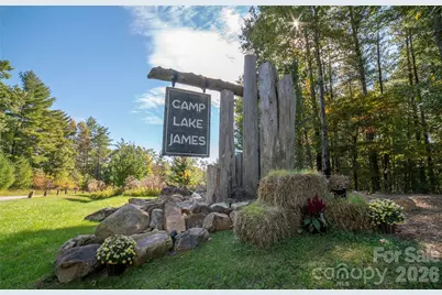 2004 Fergusons Folly Drive, Nebo, NC 28761 - Photo 28