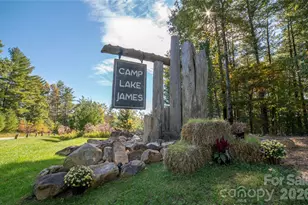 2004 Fergusons Folly Dr, Nebo, NC 28761 - Photo 28