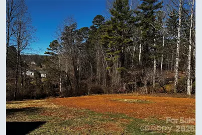 426 Shadow Wood Drive, Leicester, NC 28748 - Photo 28
