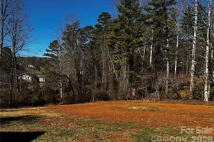 426 Shadow Wood Dr, Leicester, NC 28748 - Photo 28