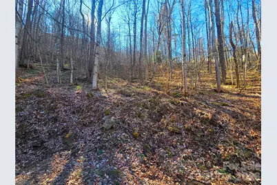 160 Slippery Rock Road #206, Waynesville, NC 28785 - Photo 16