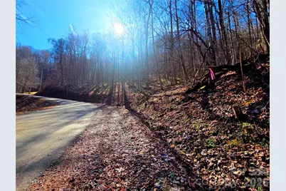 160 Slippery Rock Road #206, Waynesville, NC 28785 - Photo 14