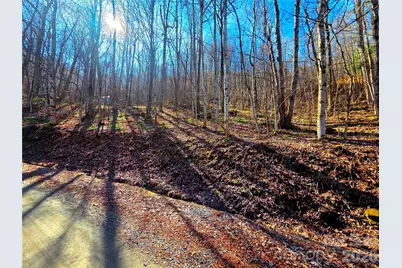 160 Slippery Rock Road #206, Waynesville, NC 28785 - Photo 1