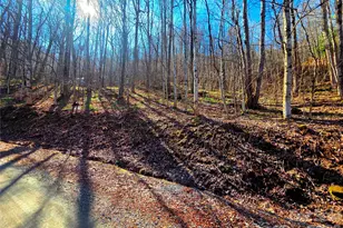 160 Slippery Rock Rd, Waynesville, NC 28785 - Photo 1