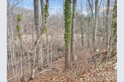 000 Cupp Lane, Waynesville, NC 28786 - Photo 8