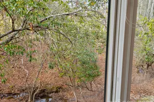 33 Ugedaliyvi Ct, Brevard, NC 28712 - Photo 22