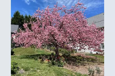 405 Mistletoe Trail, Hendersonville, NC 28791 - Photo 46