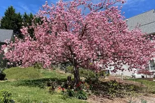 405 Mistletoe Trail, Hendersonville, NC 28791 - Photo 46