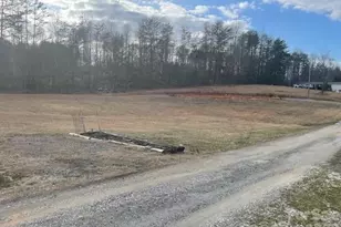 937 Drucilla Church Rd, Dysartsville, NC 28761 - Photo 14