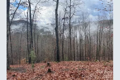 75 Wild Turkey Loop #31, Marshall, NC 28753 - Photo 1