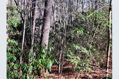 115 Fragrant Pine Drive #105, Waynesville, NC 28785 - Photo 8