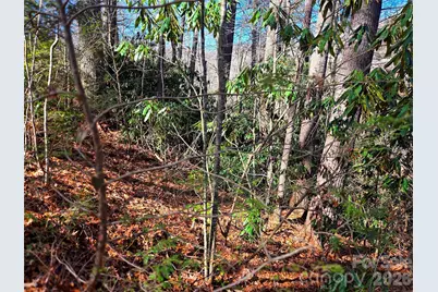 115 Fragrant Pine Drive #105, Waynesville, NC 28785 - Photo 16