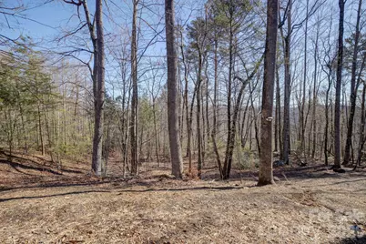 004 High Road Court #4, Lake Lure, NC 28746 - Photo 6