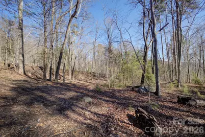 004 High Road Court #4, Lake Lure, NC 28746 - Photo 4