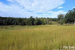 12 Acres County Line Rd, Rutherfordton, NC 28139 - Photo 1