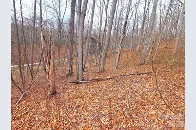 900 Fern Trail #31, Waynesville, NC 28786 - Photo 14
