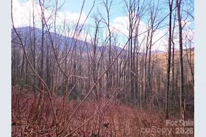 900 Fern Trail #31, Waynesville, NC 28786 - Photo 16