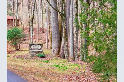 900 Fern Trail #31, Waynesville, NC 28786 - Photo 4