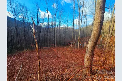 900 Fern Trail #31, Waynesville, NC 28786 - Photo 2