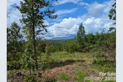 Lot #1 Price Summit Way, Mill Spring, NC 28756 - Photo 4