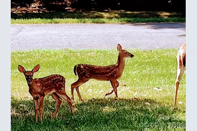 2429 Cassidy Drive, Davidson, NC 28036 - Photo 30
