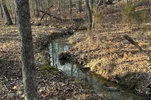 32849 Nc 49 Hwy, New London, NC 28127 - Photo 38